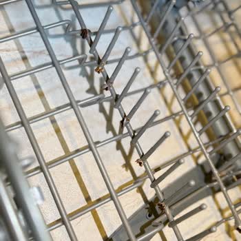 Bulaşık Makinesi Sepetlerinde Sürekli Paslanma Ve Uygun Yedek Parça Sorunu