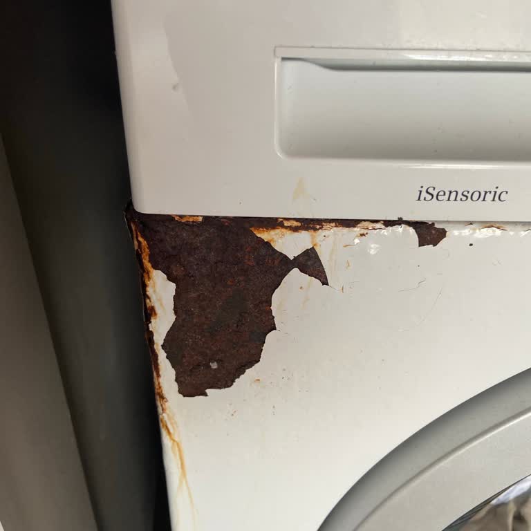 Siemens Çamaşır Makinesinde Erken Başlayan Pas Sorunu