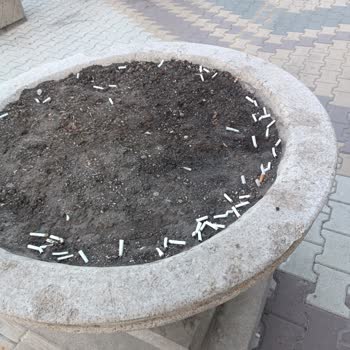 Hastane Otoparkında Ciddi Temizlik İhmali Ve Ulaşılabilir Yetkili Yok