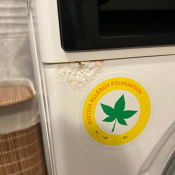 Vestel Çamaşır Makinesinde Kronik Çürüme Ve Kapak Arızası: Garanti Kapsamında Kalıcı Çözüm Talebi