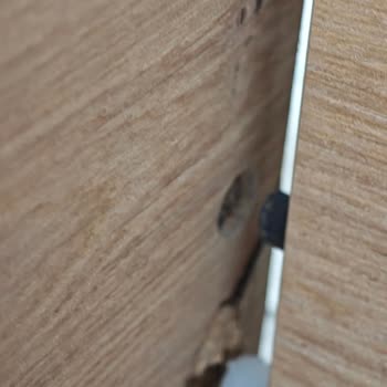 7 Aydır Parça Gönderilmeyen Ranza Yüzünden Çocuklarım Yatakta Yatamıyor