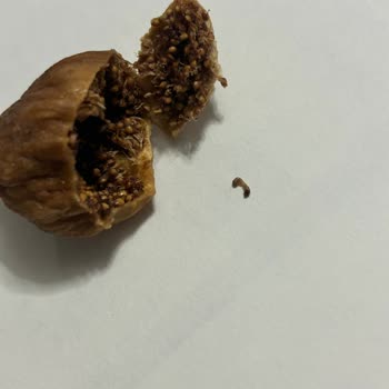 Migros Kırdağ İncirden Çıkanlar