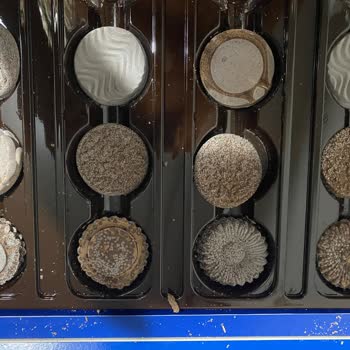 Aldığım Çikolata Küflü Çıktı Son Kullanma Tarihi Geçmemişti