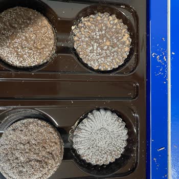 Aldığım Çikolata Küflü Çıktı Son Kullanma Tarihi Geçmemişti