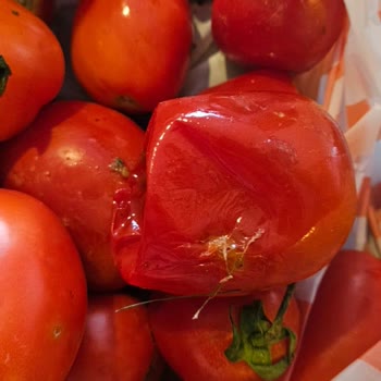 Migros’tan Çürük Domates Teslimatı Ve Çözülmeyen İade Sorunu