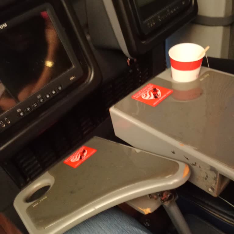 Pamukkale Turizm İle Eski Ve Konforsuz Araçla Yaşanan Yolculuk Mağduriyeti