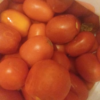 Çürük Domatesler Ve Yanlış Ürün İadesinde Çözüm Sağlanmadı