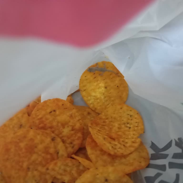 Aldığım Cipsin İçinden Kertenkele Yavrusu Çıktı, Sağlığımız Tehlikede