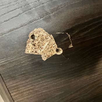 Konsolun Ayakları Kırıldı, Malzeme Kalitesi Hayal Kırıklığı Yarattı