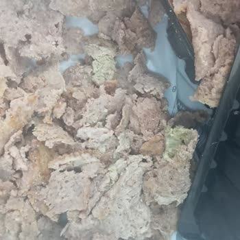 BİM’den Aldığım Kuzu Dönerde Küf Çıktı İnsan Sağlığı Tehlikeye Atılıyor