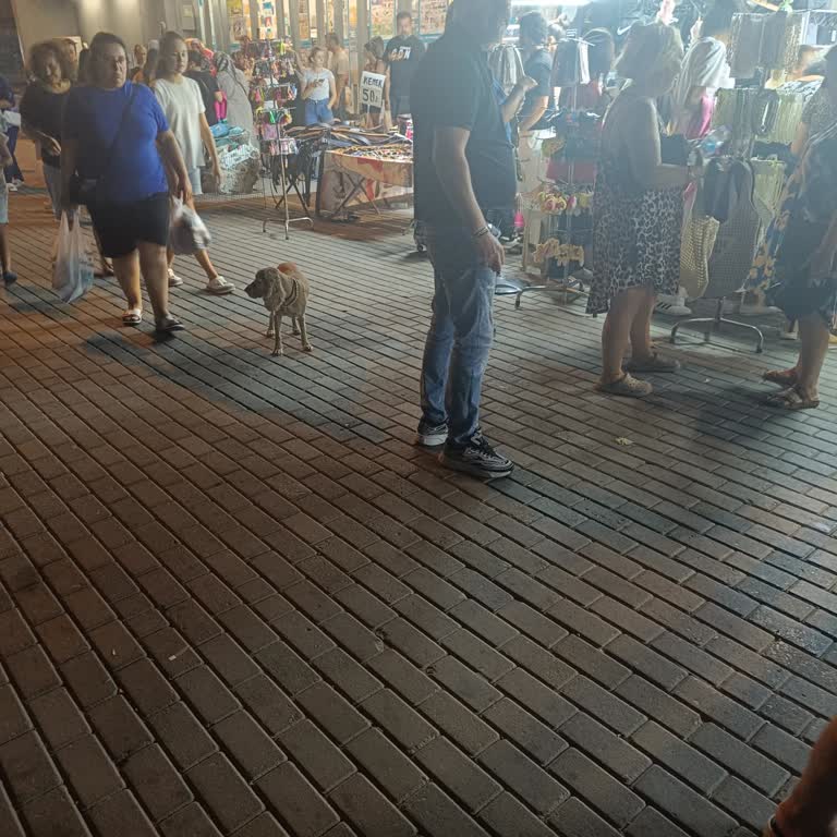 A101 Mağaza Önünde Bijuteri Tezgahları Geçişi Engelliyor, Çözüm Bekliyorum