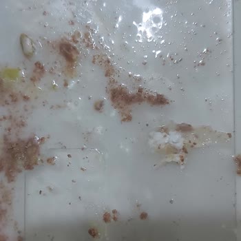 Bozuk Soğuk Baklava Satışı Ve İade Talebim