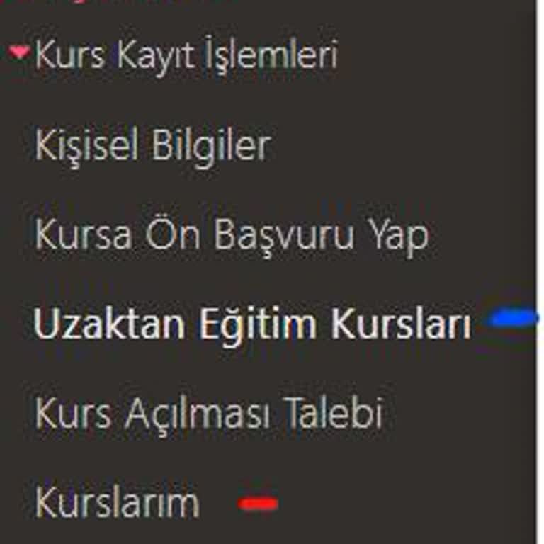 E-Yaygın Platformunda Ders İçeriklerine Erişim Zorluğu