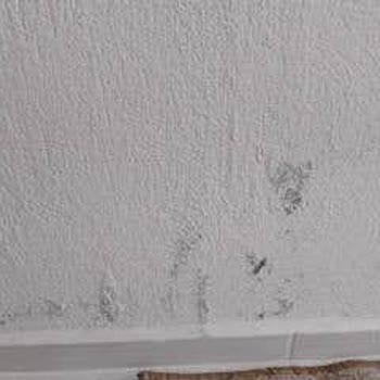 Hdi Sigorta Konut Hasarımda Yüzeysel Eksper İncelemesi Ve Açıklama Yapılmaması