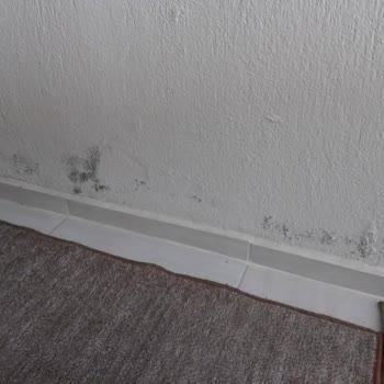 Hdi Sigorta Konut Hasarımda Yüzeysel Eksper İncelemesi Ve Açıklama Yapılmaması