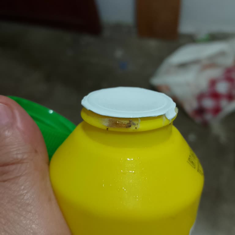 Aldığım Hardalın İçinden Güve Çıktı, Ürün Değişimi Veya İade Talep Ediyorum