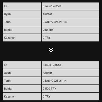 Hesabımda Bilgim Dışında Oyun Oynandı Ve Bakiyem Sıfırlandı: Güvenlik İhlali Ve İlgisizlik