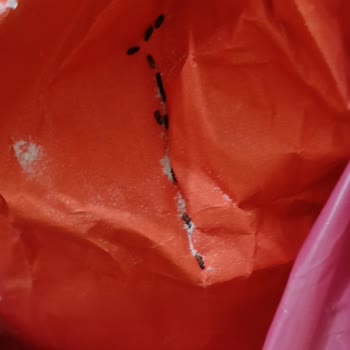 Aldığım Unda Böcek Çıktı, Hijyen Ve Sağlık Riski Yaşadım