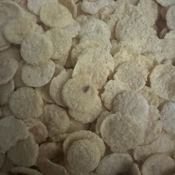 Aldığım Mısır Gevreğinde Böcek Çıkması Nedeniyle Para İadesi Talebim