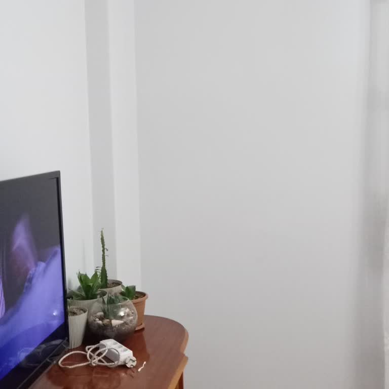 Marshall Duvar Boyasında Katalog Rengiyle Gerçek Renk Uyuşmazlığı ve Mağduriyet