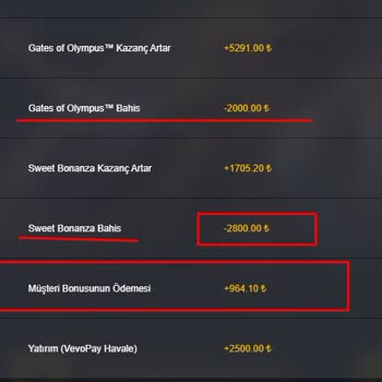 Kazandığım Bakiyenin Ödenmemesi Ve Yetersiz Müşteri Hizmetleri