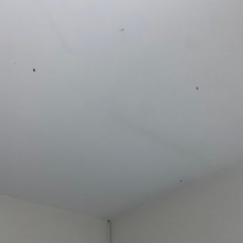 Hastane Odasında Hijyen Eksikliği Ve Yemeklerde Yabancı Madde Sorunu Yaşadık