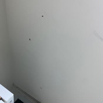 Hastane Odasında Hijyen Eksikliği Ve Yemeklerde Yabancı Madde Sorunu Yaşadık