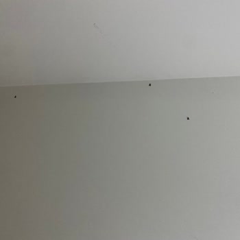 Hastane Odasında Hijyen Eksikliği Ve Yemeklerde Yabancı Madde Sorunu Yaşadık