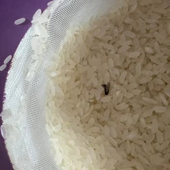 Siparişimde Hijyen Sorunu Ve Yetersiz Müşteri Hizmeti