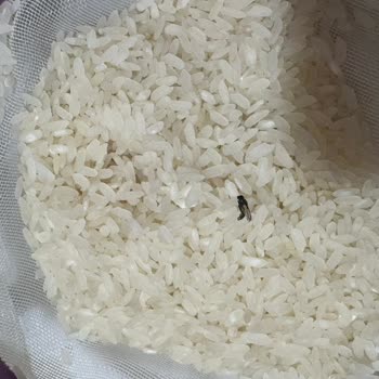 Siparişimde Hijyen Sorunu Ve Yetersiz Müşteri Hizmeti