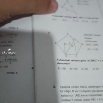 Kitap Seç Kopan Yapraklı Kitaplar