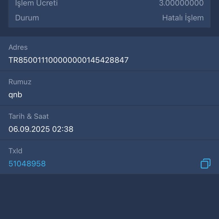 Bitexen Para Çekme İşleminde Kayıp Ve Destek Sorunu