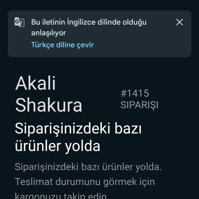 Yanlış Ürün Gönderimi Ve Teslim Edilmeyen Katana Nedeniyle Mağduriyet Yaşadım