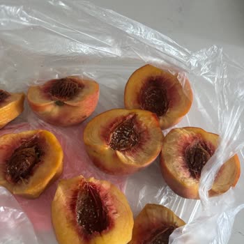 Aldığım Şeftaliden Kurt Çıktı, Para İadesi İstiyorum