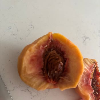 Aldığım Şeftaliden Kurt Çıktı, Para İadesi İstiyorum