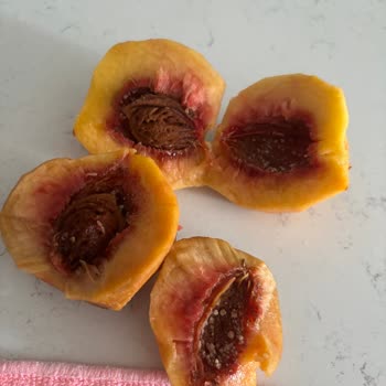 Aldığım Şeftaliden Kurt Çıktı, Para İadesi İstiyorum