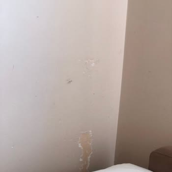 Hastane Temizliği Ve Personel İlgisizliği Hayal Kırıklığı Yarattı