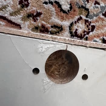 İnternetten Sipariş Edilen Kitaplık Kapağının Hasarlı Gelmesi Ve Mağduriyet