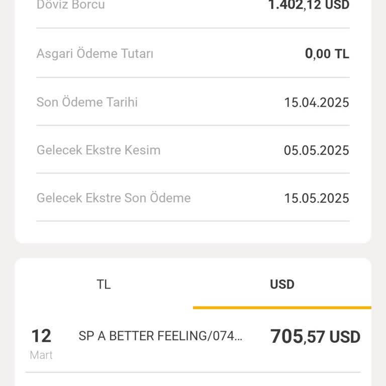 Onayım Dışında Yapılan Kart Harcamasının İadesi Ve Sorunun Çözülmemesi