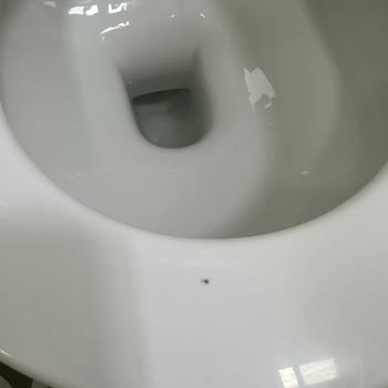 Otel Odasında Hijyen Sorunu Ve İlgisiz Personel Nedeniyle Konaklayamadan Ayrıldım