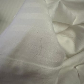 Otel Odasında Hijyen Sorunu Ve İlgisiz Personel Nedeniyle Konaklayamadan Ayrıldım