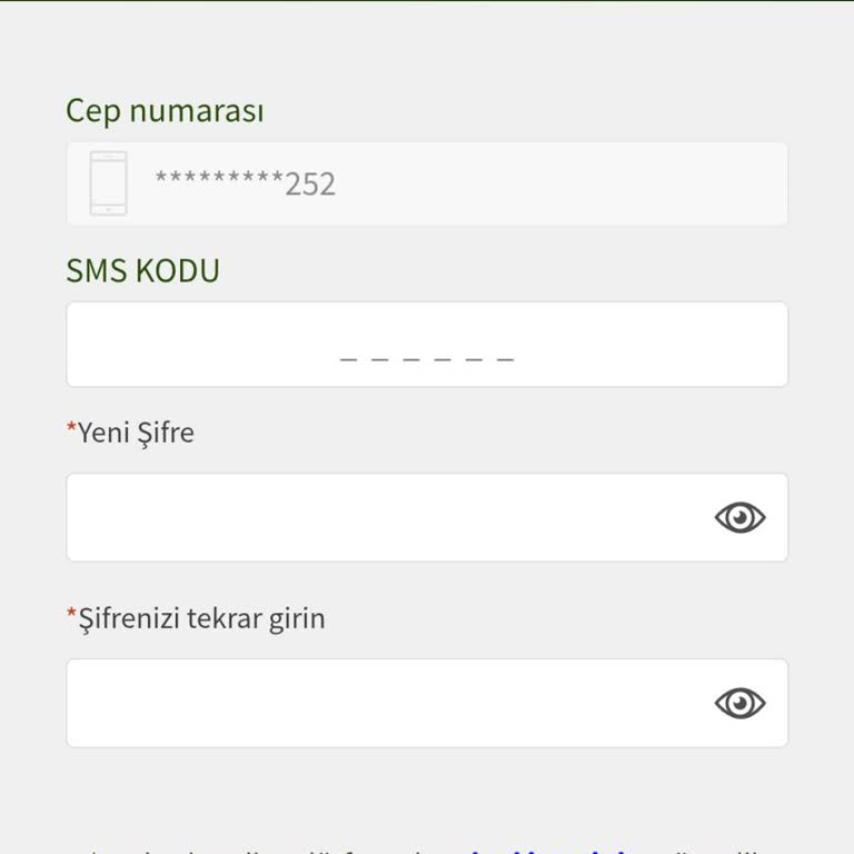 Hesabıma Giriş Yapamıyorum, Müşteri Hizmetlerinden Yanıt Alamıyorum