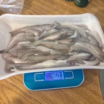 Siparişimde Eksik Balık Teslimatı Ve Fazla Ücretlendirme Mağduriyeti Yaşadım