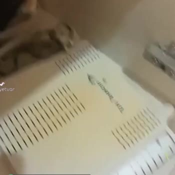 Türk Telekom Modem Değişim Talebi