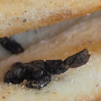 Özpan Gıda Kebapçızade Ömer Usta Kebabın İçinden Yabancı Cisim Çıktı!