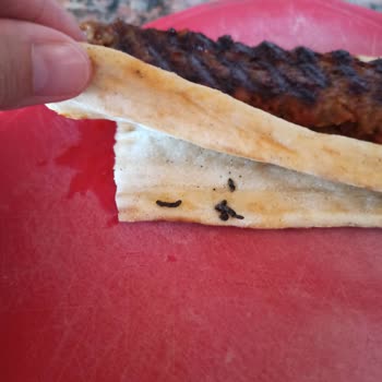 Özpan Gıda Kebapçızade Ömer Usta Kebabın İçinden Yabancı Cisim Çıktı!