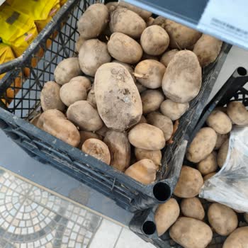 A101 Serik Şubesinde Sürekli Bozuk Sebze Ve Meyve Sorunu