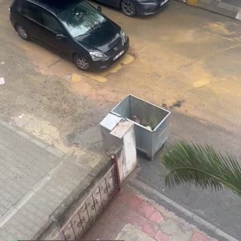 Kadıköy Belediyesi Çukur Çamur