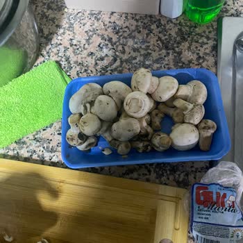 Beyaz Mantar Paketinde Çürük Ve Ezilmiş Ürün Şoku