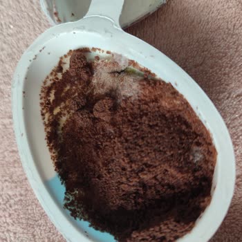 Son Kullanma Tarihi Geçmemiş Ozmo Cool Egg Yumurtada Küf Şoku Ve Sağlık Endişesi